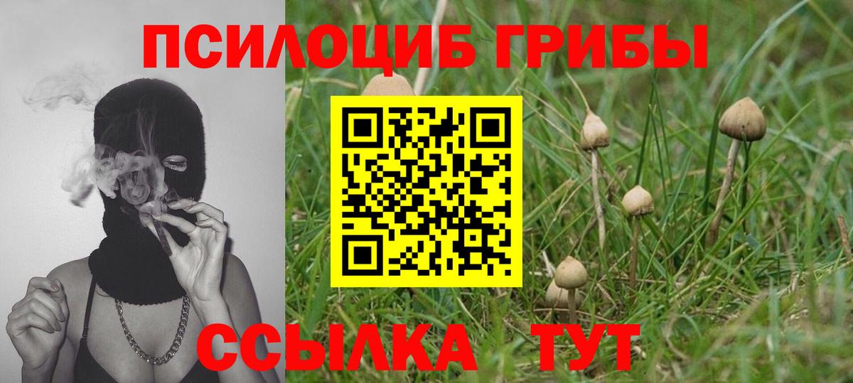 Псилоцибиновые грибы мицелий Сергиев Посад