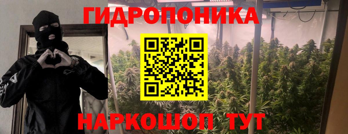 Каннабис Amnesia Сергиев Посад